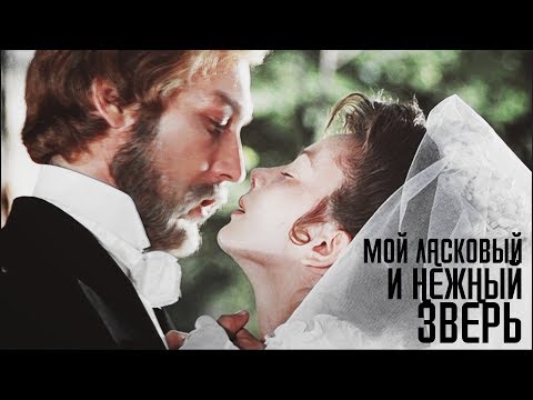 Видео: Мой ласковый и нежный зверь...