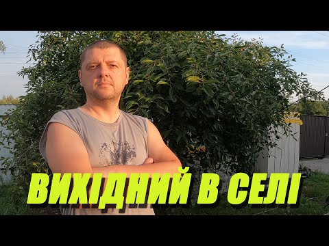 Видео: ВИХІДНИЙ В СЕЛІ
