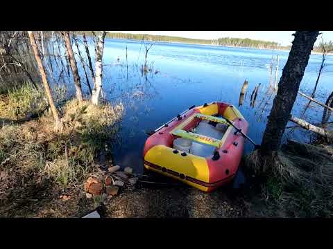 Видео: Солнечный день☀ Открыл летний сезон.