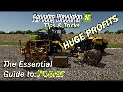 Видео: Полное руководство по тополю в Farming Simulator 25
