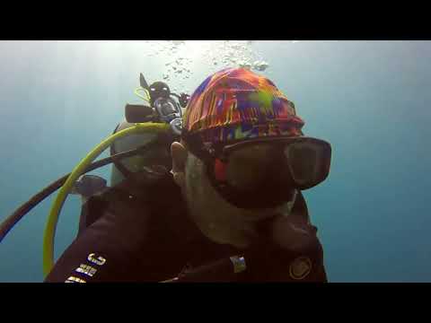 Видео: Дайвинг на Филиппинах