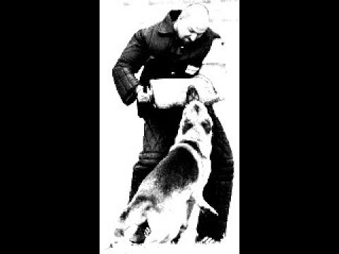 Видео: Встреча с Евгением Цигельницким часть 1 я