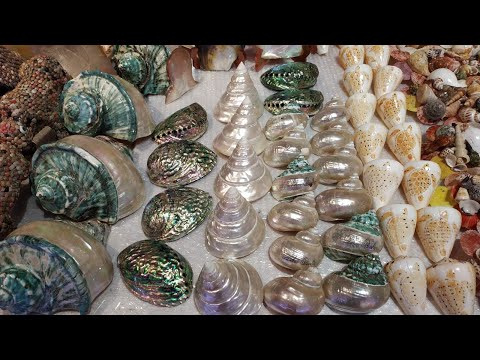 Видео: Центр по производству и продаже изделий из жемчуга на острове Фукуок, Вьетнам