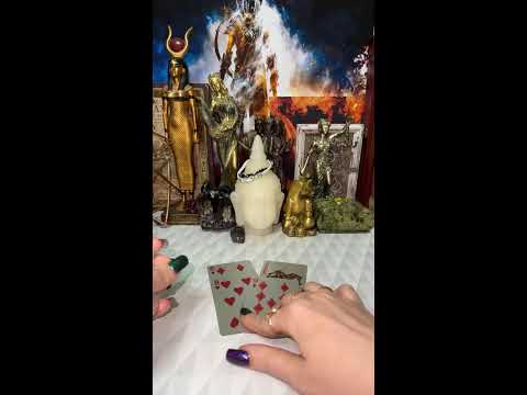 Видео: Виктория Романовна в прямом эфире!ДРУГ?ВРАГ?ИЛИ ТАК?… как воспринимать человека.