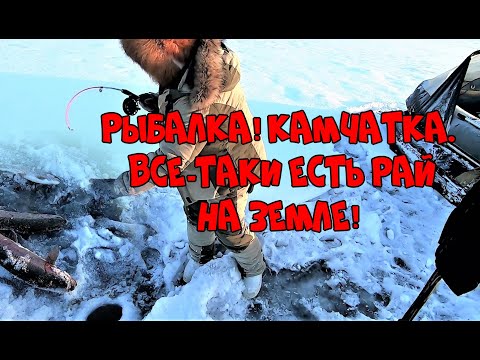 Видео: Рыбалка на Камчатке! Все - таки есть рай на Земле!