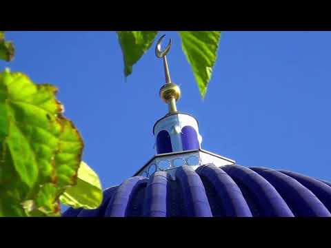 Видео: КЕНИМЕХ ШУРКУЛ 2023