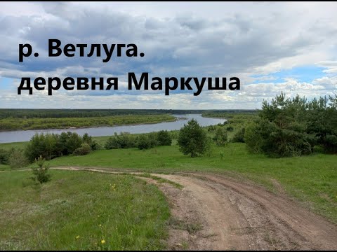 Видео: р.Ветлуга.разведка большой воды.фидер с запеска.Лещ, сопа, плотва, елец.