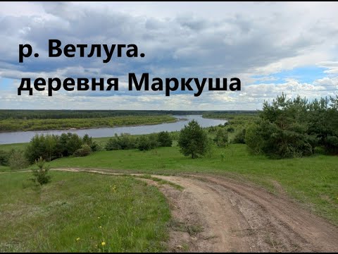 Видео: р.Ветлуга.разведка большой воды.фидер с запеска.Лещ, сопа, плотва, елец.