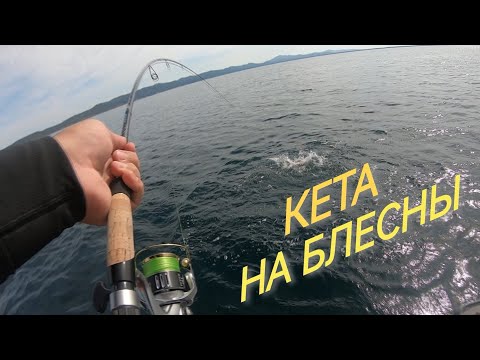Видео: Кета на блесны! Покатушки с Егором!