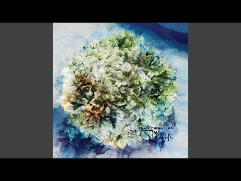 Видео: Шиповник