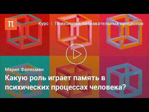 Видео: Процессы и виды памяти — Мария Фаликман