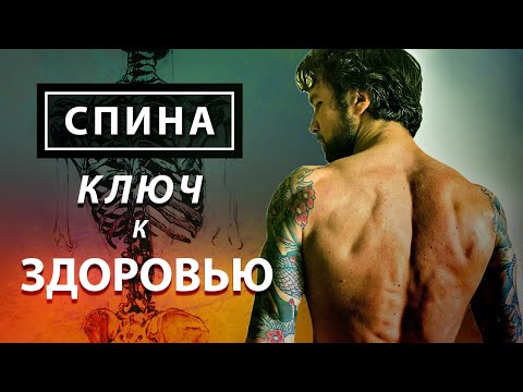 Видео: ЭТА ЙОГА ВЫЛЕЧИЛА МНЕ 3 ГРЫЖИ  В ПОЗВОНОЧНИКЕ. Комплекс йоги для лечения спины в домашних условиях