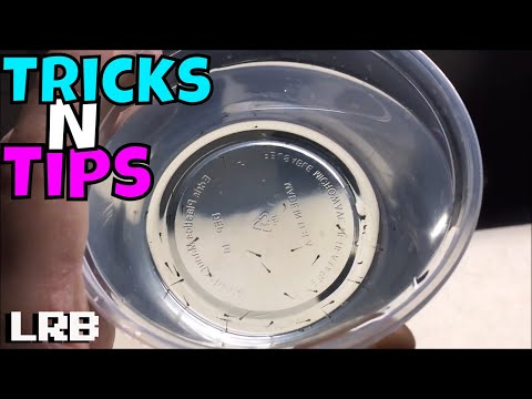 Видео: Мальки! Как пересадить мальков в другой аквариум и как их поймать: советы и рекомендации.