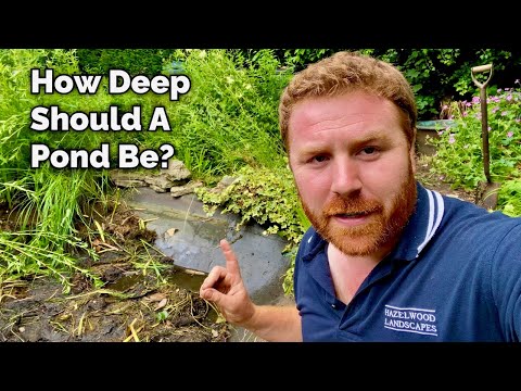 Видео: Насколько глубоким должен быть ваш ПРУД?
