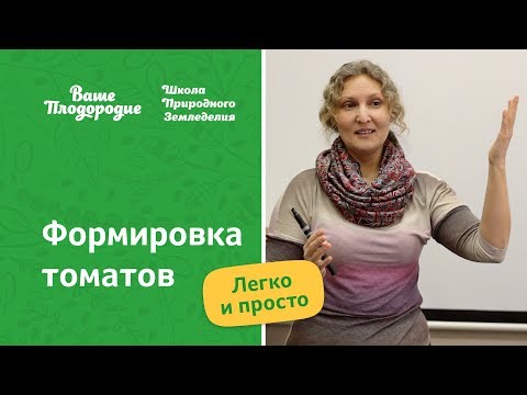 Видео: Формировка томатов — легко и просто