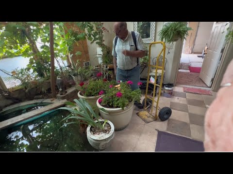 Видео: Чем мы сегодня занимались?