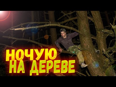 Видео: Ночевка в лесу без костра. Чуть не замерз. Выживание в лесу.