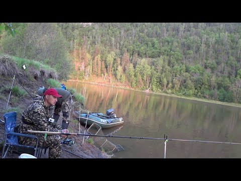Видео: Рыбалка с ночевкой в заповедных местах! Верховье Белой Юмагузинское водохранилище!
