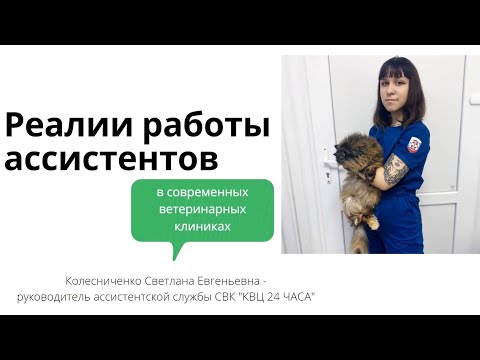 Видео: Реалий работы ассистентов в современной ветеринарной клинике