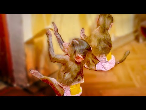 Видео: Степашка и Маняшка решили лома СДЕЛАТЬ РЕМОНТ, а то нам все некогда)))