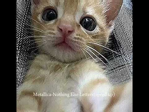 Видео: пов : плейлист твоей мамы песни speed up, slower