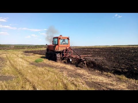 Видео: 🔵★ 🅻🅸🆅🅴 ★🔵★ 🅻🅸🆅🅴 ★Работаем на  старой ферме  #fs25