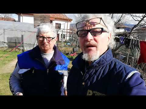 Видео: № 305   Присаждане на ЛОЗА. Стара лоза на лозарския празник Трифон Зарезан - I част - 01.02.2021 г.