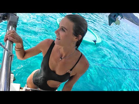 Видео: Горбатые КИТЫ и путешествующий КОТ! [эп. 180]