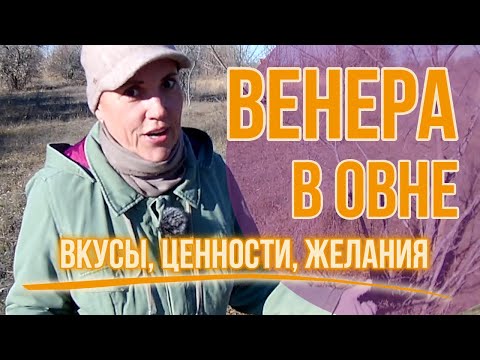 Видео: Венера в Овне