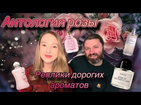 Видео: РОЗА 🥀и не только В ПАРФЮМЕРИИ!УГАДЫВАЕМ БЮДЖЕТНЫЕ БРИЛЛИАНТЫ И ВЕСЕЛИМСЯ! 💋#парфюмерия #shaik