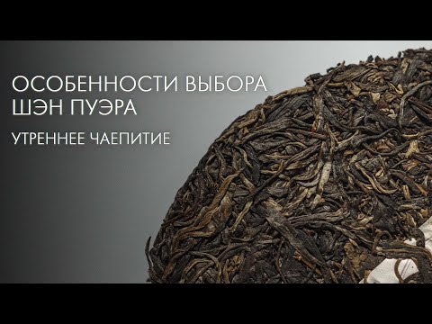 Видео: Шэн Пуэр. Как Выбрать? | Art of Tea, китайский чай