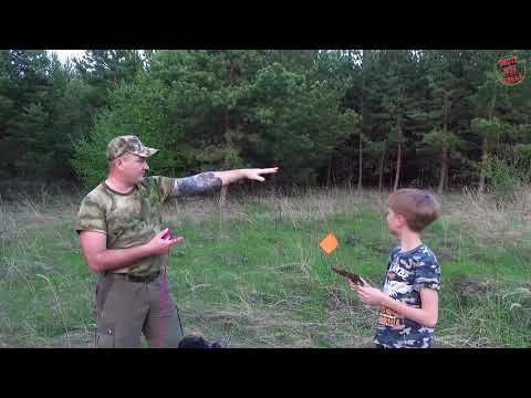 Видео: Натаскиваю дратхаара Браата. Первые тренировки 4,5 месяца.  Поиск/стойка