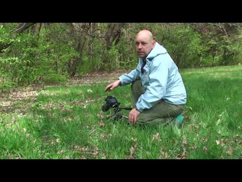 Видео: Макро фотография # 2 Снимане на неподвижни обекти.