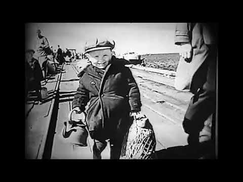 Видео: Кино 35 мм Ладожские тайны фильм клуба Нево.