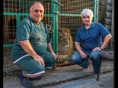 Видео: НАУЧНЫЙ КРУЖОК. В гостях у животных. Полная версия