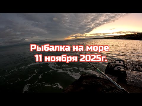 Видео: Рыбалка на море 11 ноября 2025г 