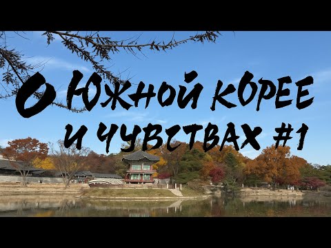 Видео: Сеул: императорский дворец, красные и желтые деревья, гуляем в центре, едим свиную рульку…