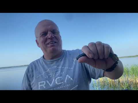 Видео: Вы точно такого не видели,у Мишки Журавлева ШОК!База Ореховая. Полтавская область. Рыбалка на Днепре
