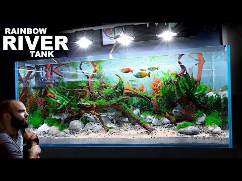 Видео: Речной аквариум с радужными рыбками: ЭПИЧЕСКОЕ руководство по созданию акваскейпа размером 4 фута