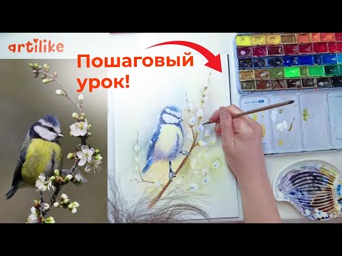 Видео: Рисуем синичку на ветке вербы. Пошаговый акварельный урок от школы Артилайк