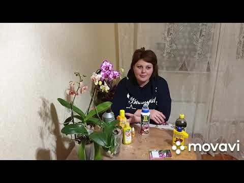 Видео: Орхидеи#Какие удобрения я использую#NPK#Как удобрять орхидеи на фитиле и в чудо горшках