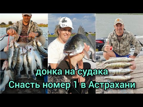 Видео: ЛОВЛЯ СУДАКА ДОНКОЙ ( в отвес на блесну)