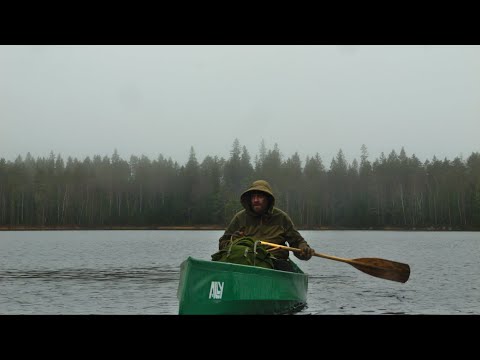 Видео: 3 дня в одиночку: лесная жизнь и кемпинг — лови и готовь