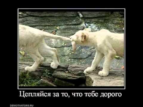 Видео: Dessar - всё будет хорошо.avi