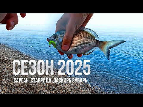 Видео: ВОТ ЭТО Я ПОПАЛ... Рыбалка на Черном море, СЕЗОН 2025 открыт!