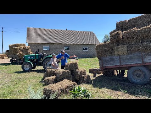 Видео: Заготівля соломи, сіна, на 15 биків!  Врожайність гороху, затрати!!!