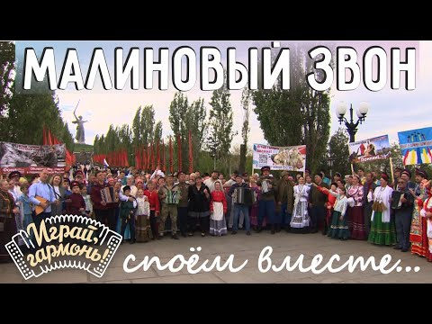 Видео: Малиновый звон | Играй, гармонь!