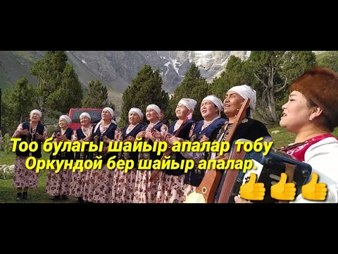 Видео: Шайыр апалар ормузан жайлоосу арал