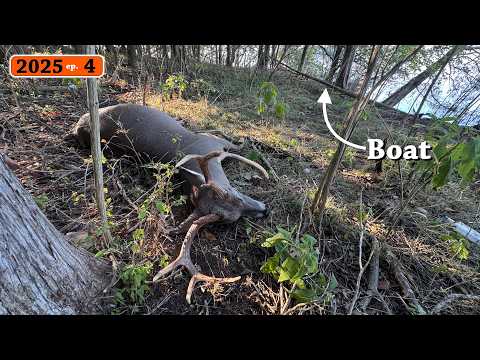 Видео: Большой 8-конечный стрелок упал в 15 ярдах от лодки — охота с луком на общественных землях