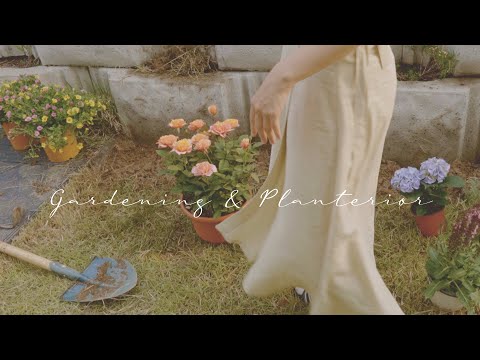 Видео: Оформление сада в небольшом дворе / Мой первый садовый Влог